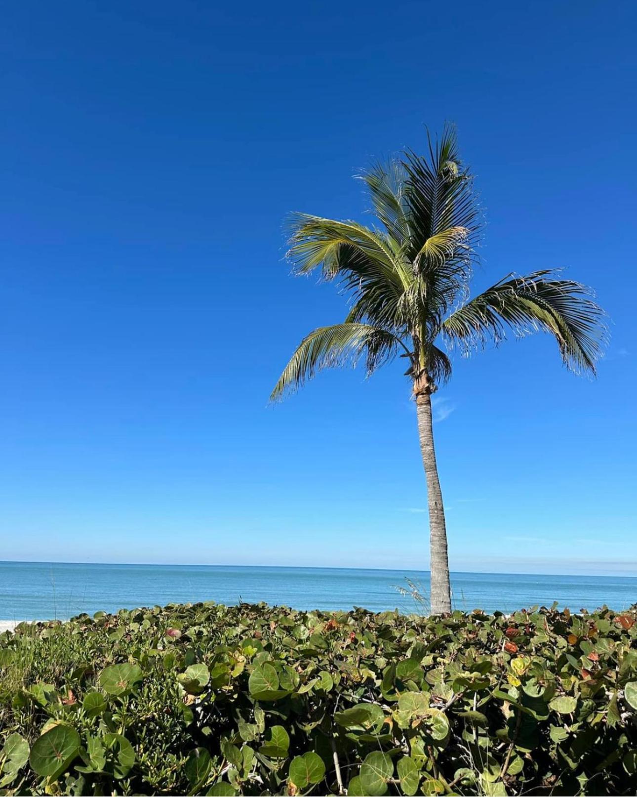 Captiva Bayside Villas 1 Bedroom 2 Bath - Sleep 4 Captiva Island Bagian luar foto